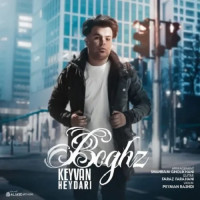 Keyvan Heydari - Boghz