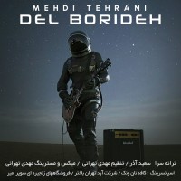 Mehdi Tehrani - Del Borideh