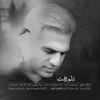 Mehran Gharib - Delam Raft