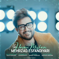 Mehrzad Esfandiyari - Havaei Misham