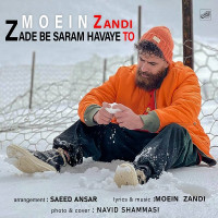 Moein Z - Zade Be Saram Havaye To