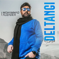 Mohammad Alizadeh - Deltangi