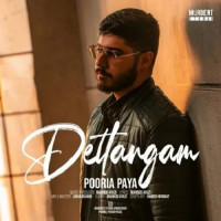 Pooria Paya - Deltangam