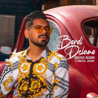 Abolfazl Razaghi - Bordi Delamo