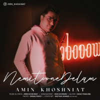 Amin Khoshniat - Nemitoone Delam