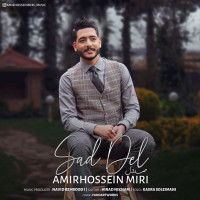 Amirhossein Miri - Sad Del