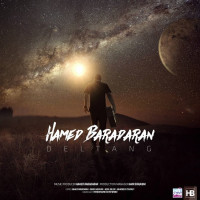 Hamed Baradaran - Deltang