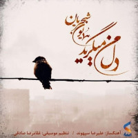 Homayoun Shajarian - Dele Man Migeryad