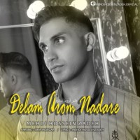 Mehdi Hosseinzadeh - Delam Aroom Nadare ( Remix )
