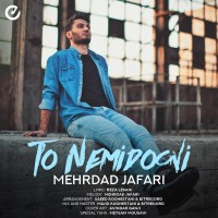 Mehrdad Jafari - To Nemidooni