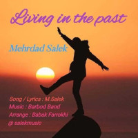 Mehrdad Salek - Living In The Past