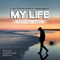 Mehrdad Salek - My Life ( Unplugged )