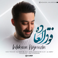 Mohsen Najmedin - Fogholadeh