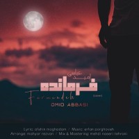 Omid Abbasi - Farmandeh ( Cover )