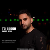 Saeed Beigi - To Begoo