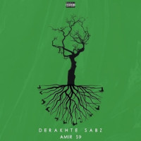 Amir S9 - Derakhte Sabz