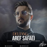 Aref Safaei - Deltang