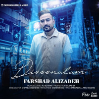 Farshad Alizadeh - Divoonatam