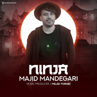 Majid Mandegari - Ninja