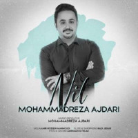 Mohammadreza Ajdari - Nil