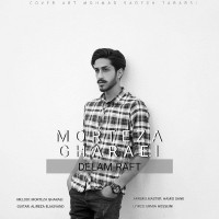 Morteza Gharaei - Delam Raft