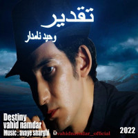 Vahid Namdar - Taghdir