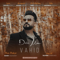 Vahid Tanhaei - Dele Man