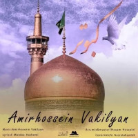 Amirhossein Vakilyan - Kabootar