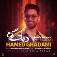 Hamed Ghadami - Damet Garm ( Remix )