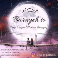 Pouya Eisapour & Morteza Barzegary - Baraye To