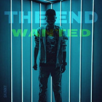 Skinny - The End Wanted