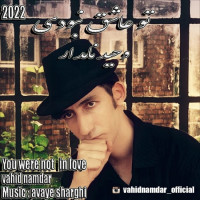 Vahid Namdar - To Ashegh Naboodi