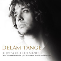 Alireza Gharaei Manesh - Delam Tange