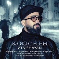 Ata Shayan - Koocheh ( Remix )