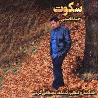 Vahid Ghasemi - Sokoot