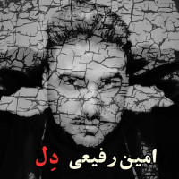 Amin Rafiee - Del