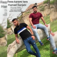 Reza Karami Tara & Hamed Sanjabi - Darde Del