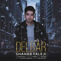 Shahab Faleji - Delbar ( Remix )