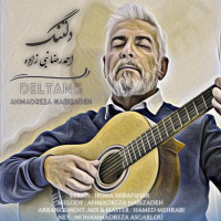 Ahmadreza Nabizadeh - Deltang