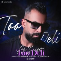 Ali Saadat - Too Deli