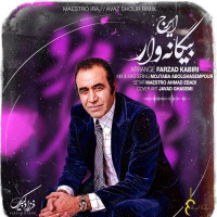 Iraj - Biganeh Var ( Remix )