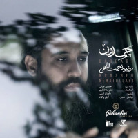 Roozbeh Nematollahi - Chamedoon