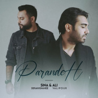 Ali Valipour Ft Sina Derakhshande - Parandeh
