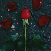 Lyas Khedmat - Age Raftam