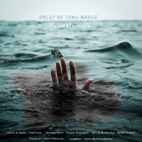 Vahid Hajitabar - Delet Ke Tang Bashe
