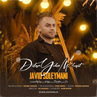 Javid Soleymani - Delam Yekio Mikhast