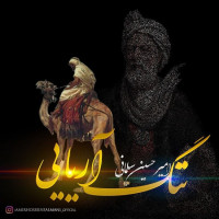 Amirhossein Salmani - Nang Aryaei
