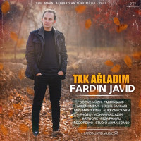Fardin Javid - Tak Aghladim
