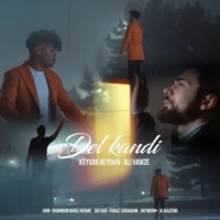 Keyvan Heydari & Ali Hamze - Del Kandi