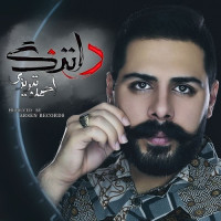 Ahmad Tabrizi - Deltang